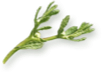 Block Image