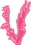 Block Image