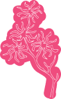 Block Image